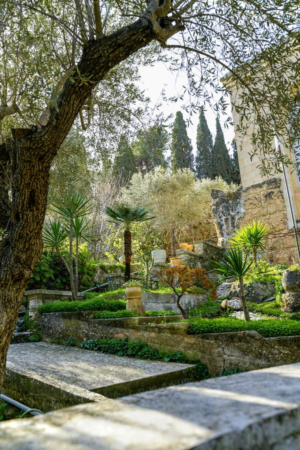 תכנון גינה — גינה ים-תיכונית מתוכננת בשעת זהב