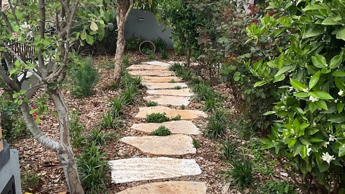 שביל אבני מדרך טבעיות בין צמחייה ירוקה בגינה