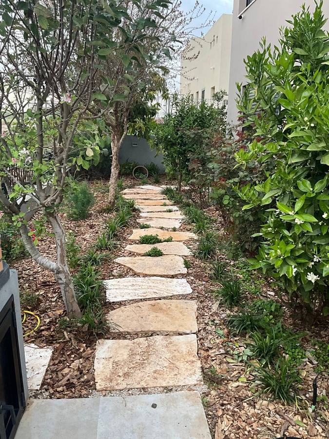 שביל אבנים טבעיות בפרוזדור ירוק — שדרוג גינה קיימת